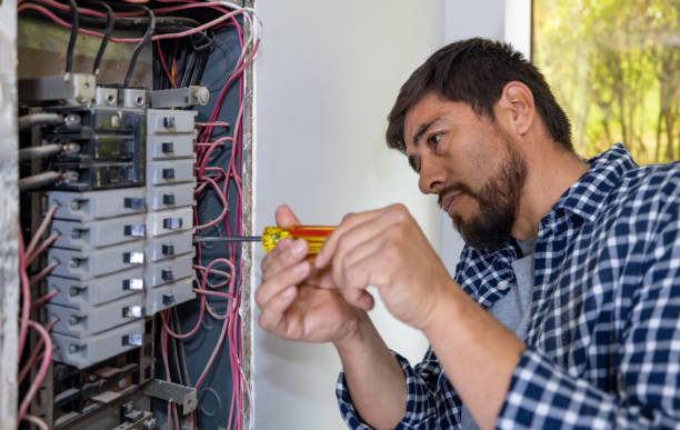 Best Electrical Panel Upgrades  in Bloomington, IL